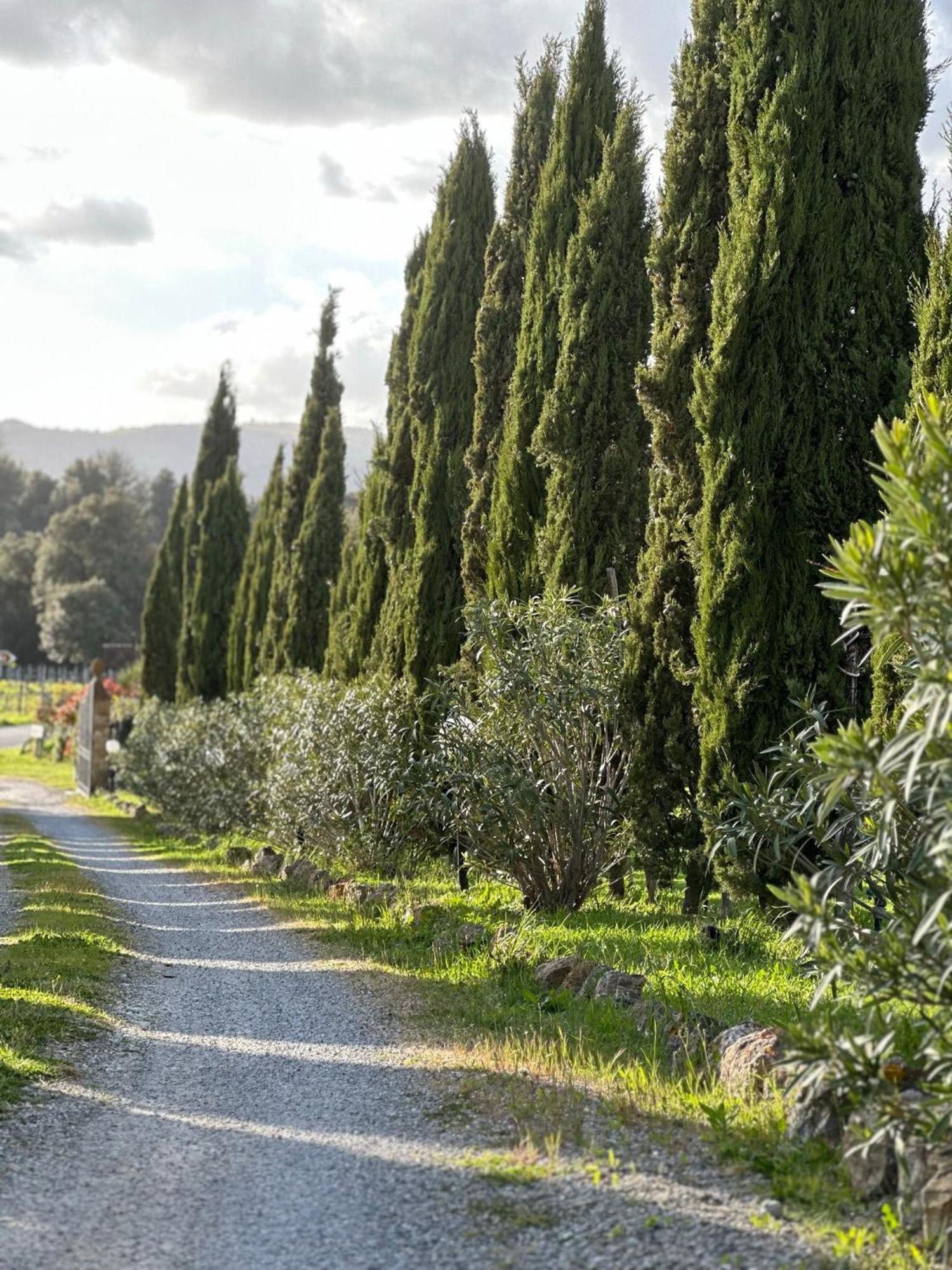 Antico Borgo Il Cardino Bed & Breakfast San Gimignano Exterior foto